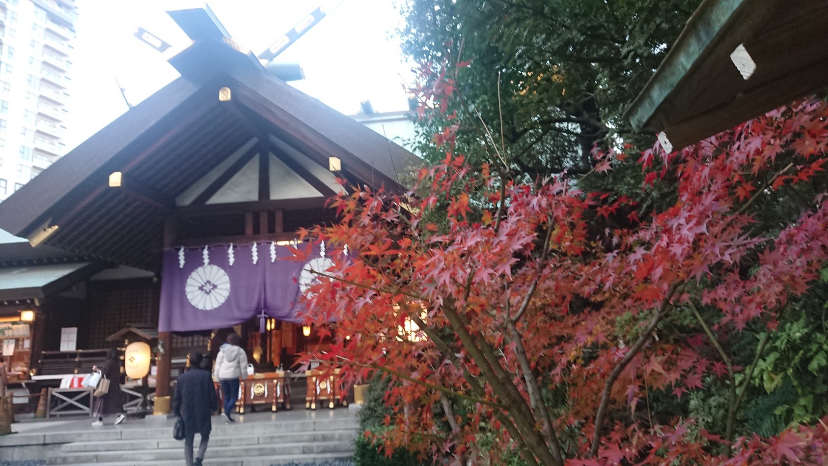 秋の東京大神宮